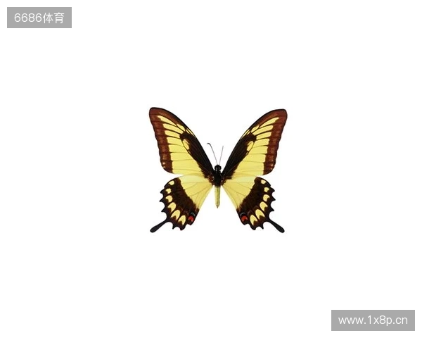 破茧成蝶：Legacy如何登顶南美、跻身世界顶尖行列